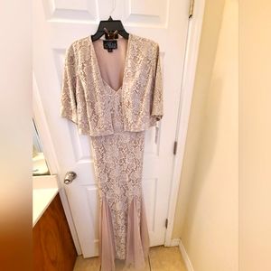 Alex evenings, lace, size 8 gown, porcelain NWT